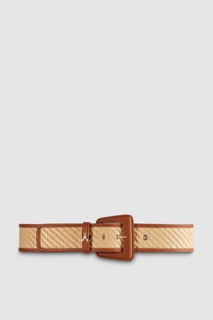 Patrizia Pepe High Waist Fabric Belt Bruin | 3542AFKHQ