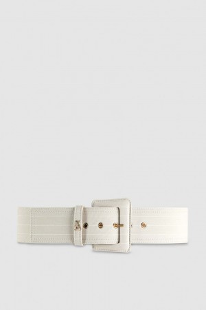 Patrizia Pepe High Waist Fabric Belt Grijs | 1395ANROF