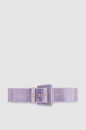 Patrizia Pepe High-waisted Belt With Rhinestones Roze | 9784PJQAV