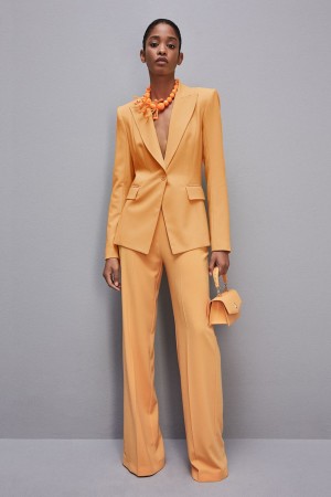 Patrizia Pepe One-button Jacket In Sablè Crepe Fabric Oranje | 1263EUQXG