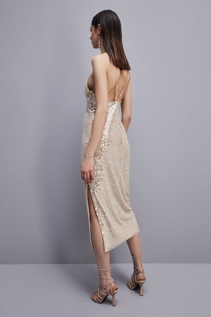 Patrizia Pepe Hand-embroidered Tulle Dress Beige | 1967HOYKT